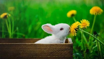 男生喜欢的女生特质揭秘：性格_外貌与内在吸引力解析