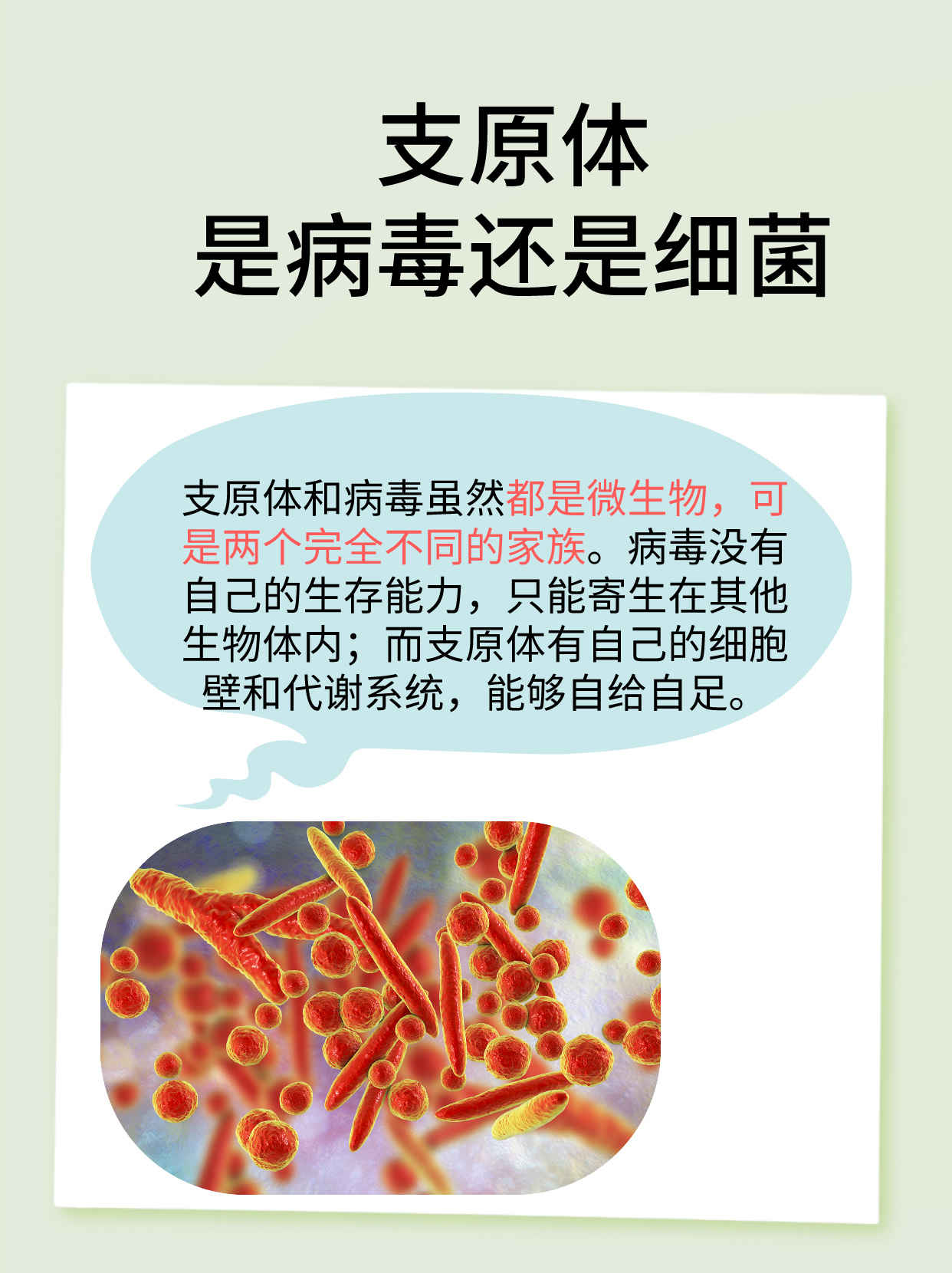 细菌和病毒的区别_(细菌和病毒的区别是什么 简单)