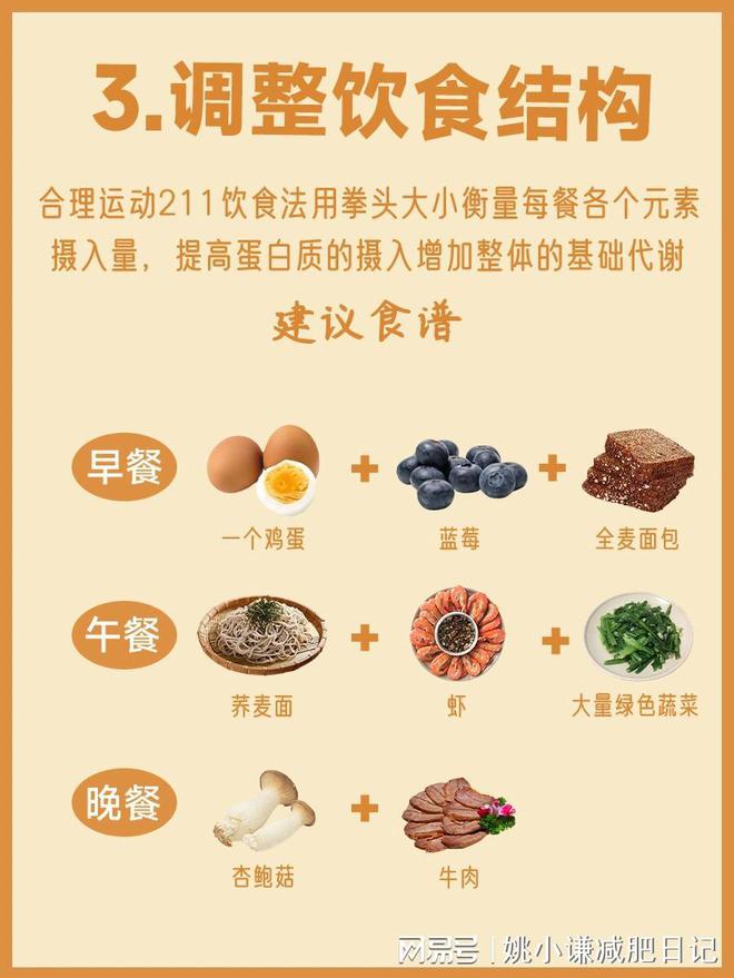 合理饮食-(合理饮食与健康的关系)