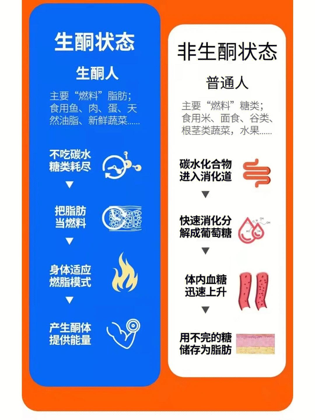 生酮饮食是什么(生酮餐的正确吃法)