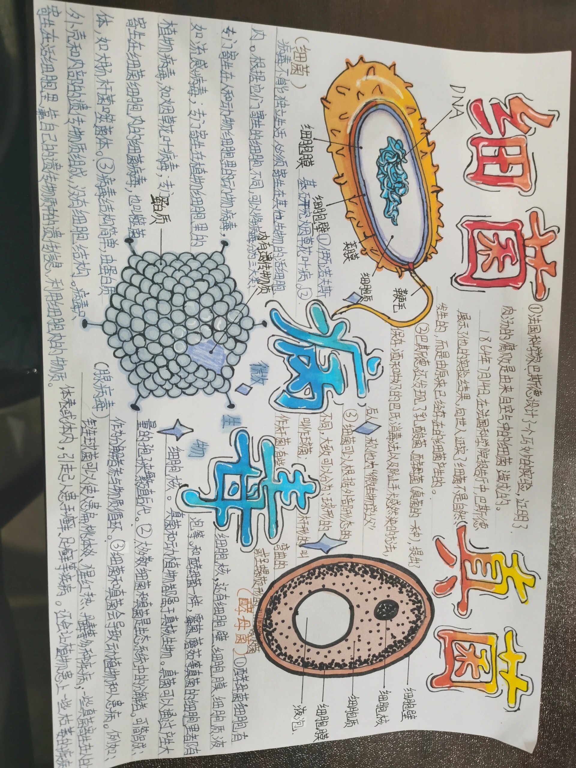 细菌有细胞核吗_(细菌有细胞核吗?)