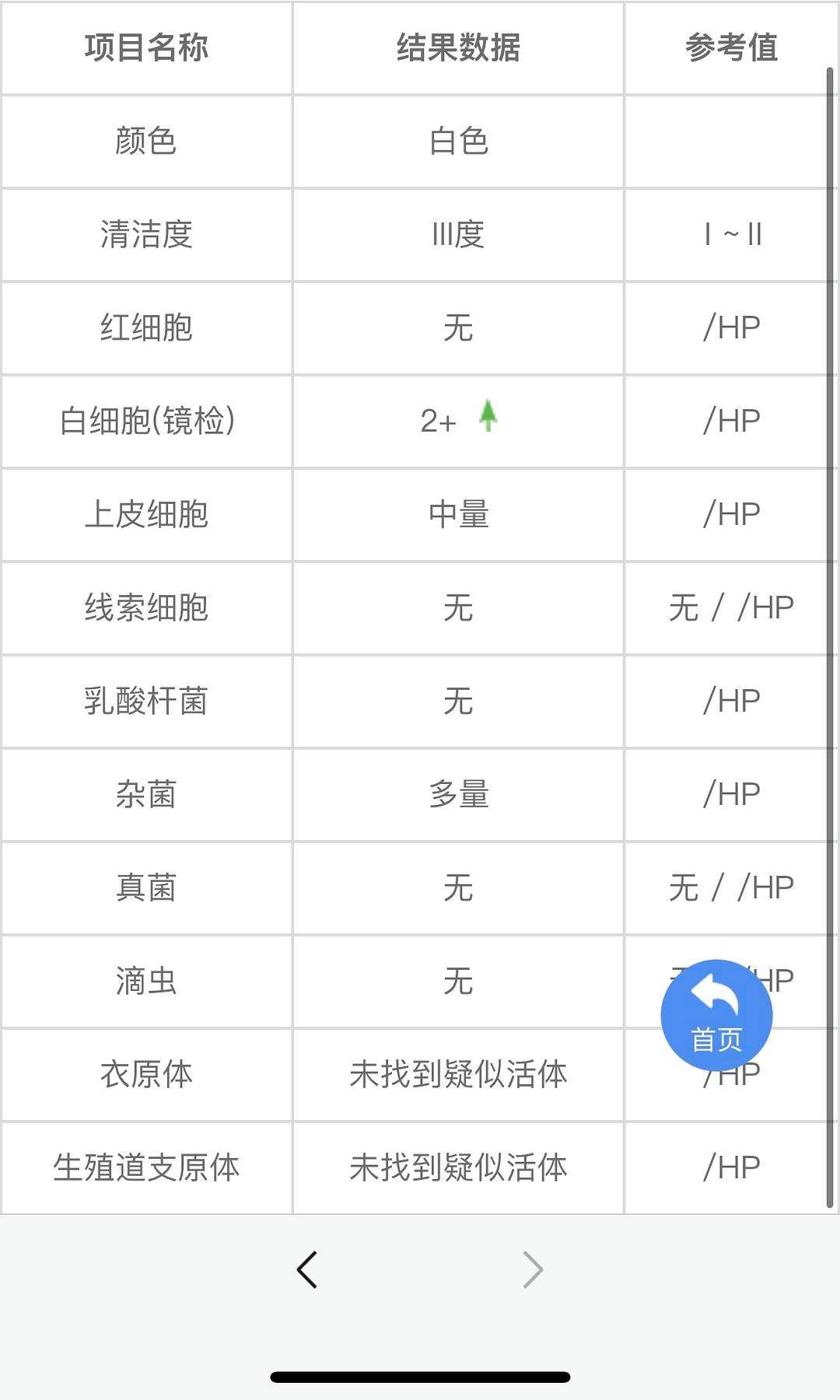 霉菌属于细菌还是真菌-(霉菌是老公在外面乱来引起的吗)