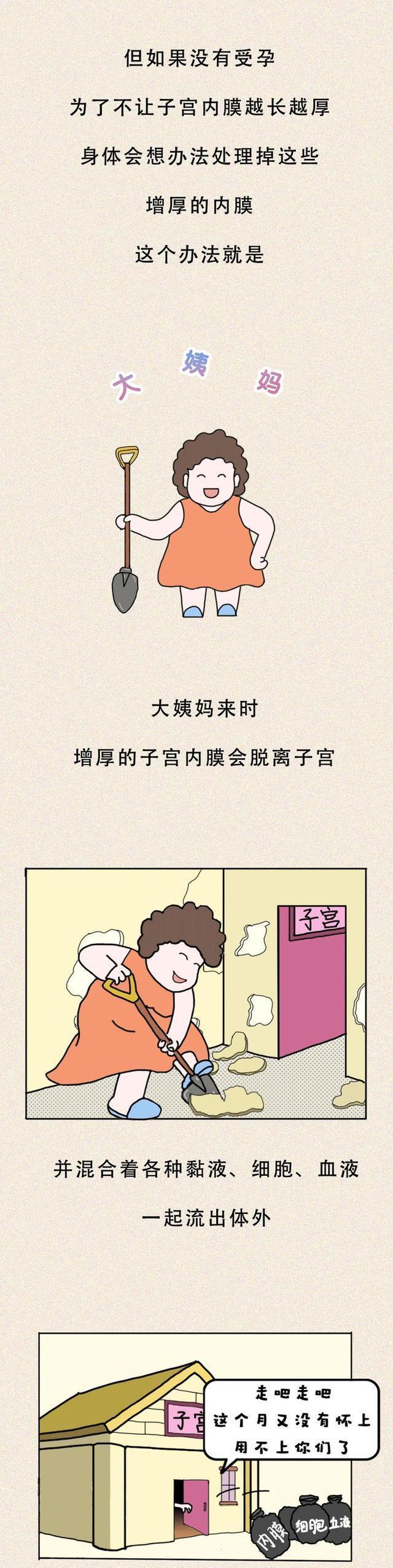 性生理_(性生理发育是什么和什么的生理基础)