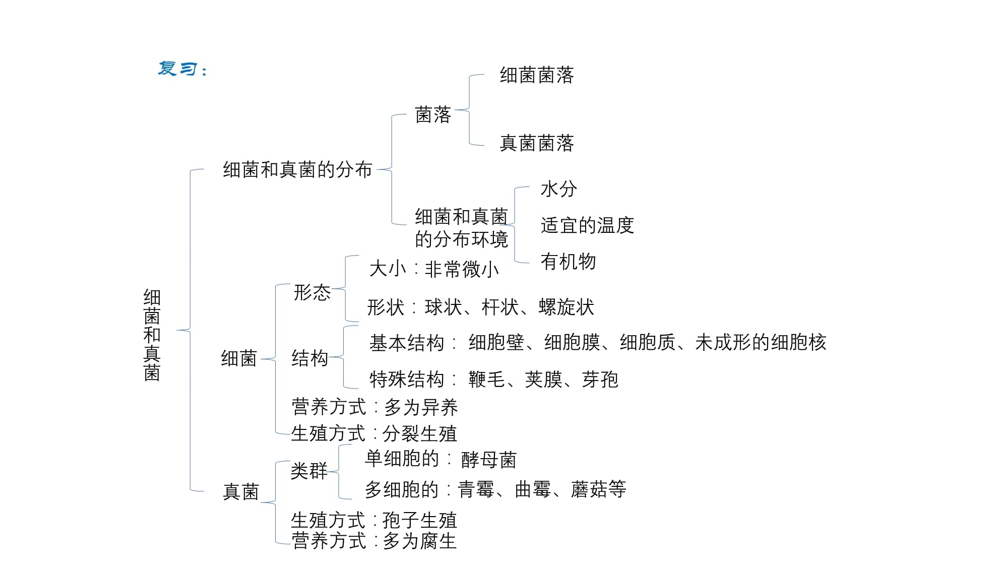 真菌和细菌有什么区别-(真菌和细菌有什么区别联系)