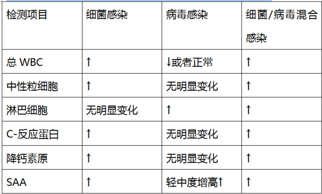 细菌性感冒怎么引起的_(细菌性感冒怎么引起的咳嗽)
