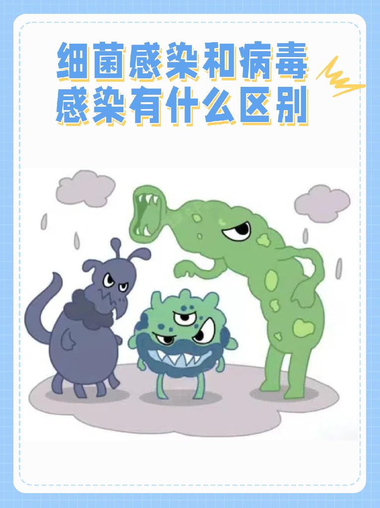 细菌有哪些(细菌有哪些特殊结构)