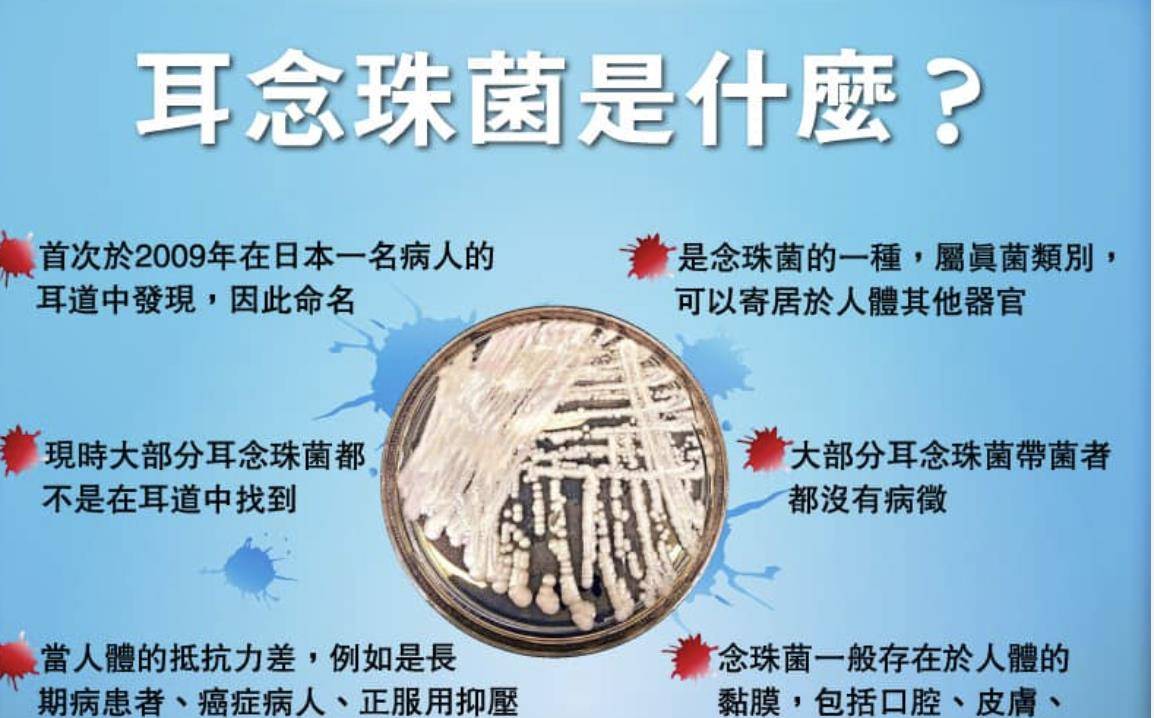 念珠菌是真菌还是细菌-(念珠菌是真菌还是细菌呢)