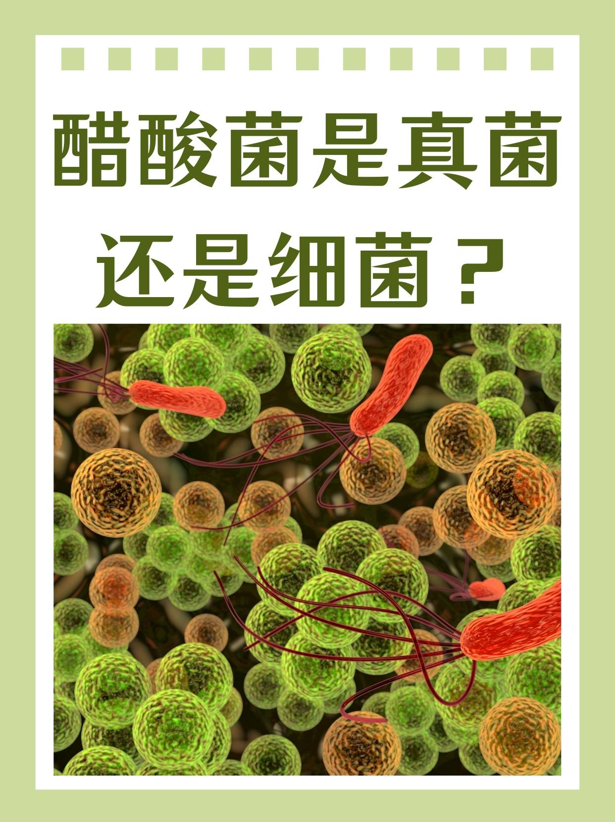 链霉菌是细菌还是真菌-(链霉菌是细菌还是真菌感染)