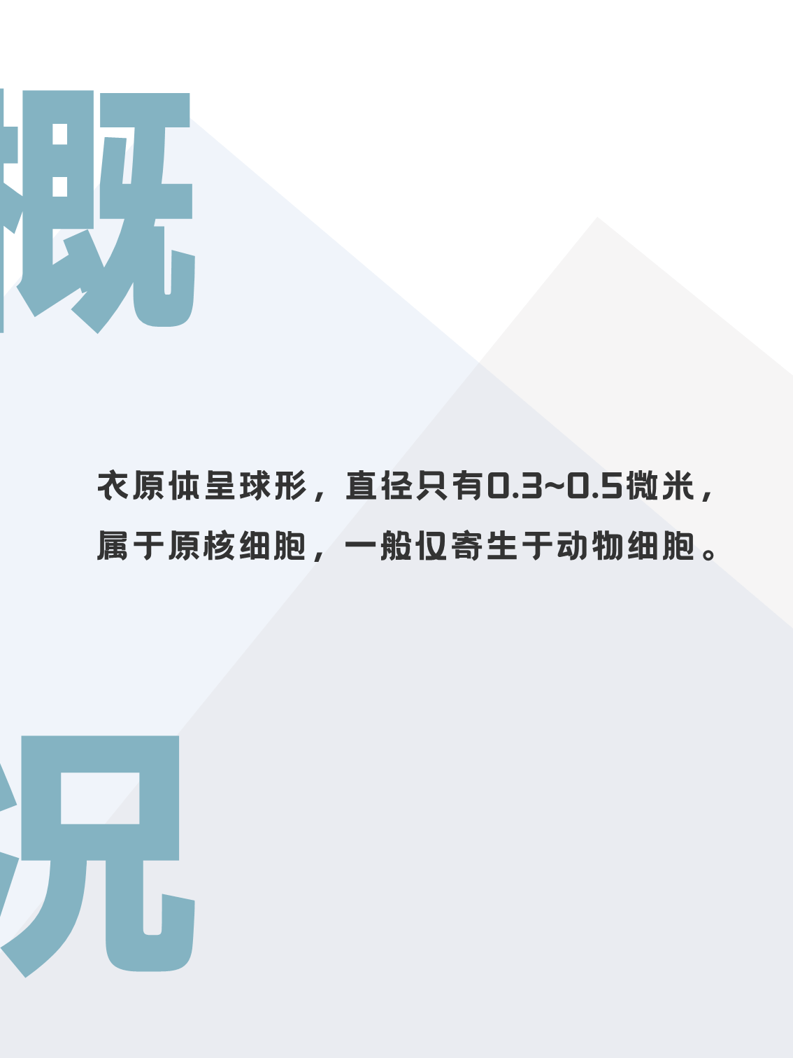 衣原体是细菌还是病毒(衣原体是细菌还是病毒生物)