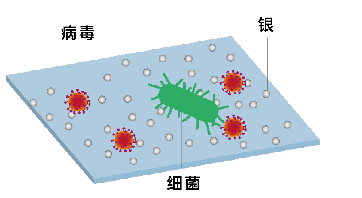 细菌读音(细菌读音几声)