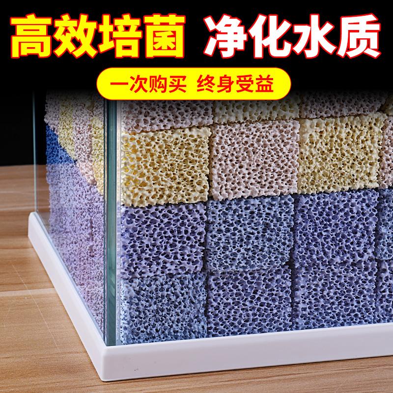 硝化细菌多久放一次_(开缸硝化细菌多久放一次)