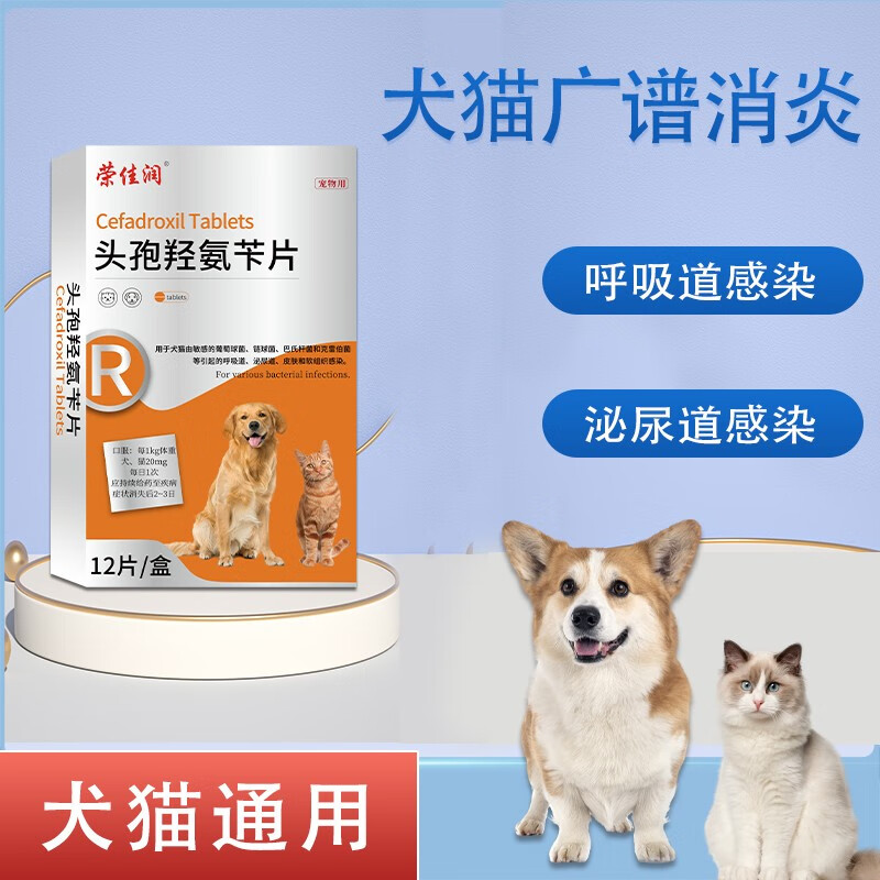 感冒细菌感染吃什么药_(感冒细菌感染吃什么药才好的快)
