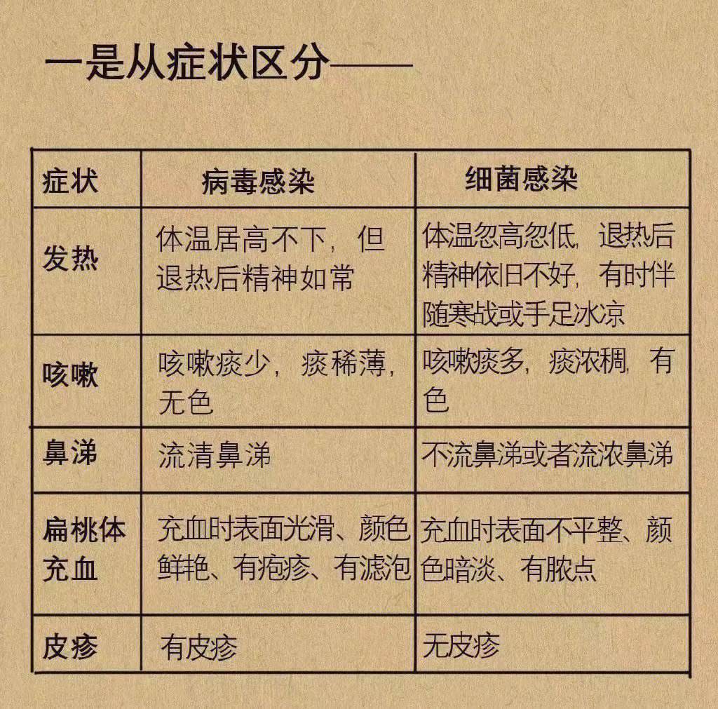 病毒和细菌的区别(病毒和细菌哪个更厉害)
