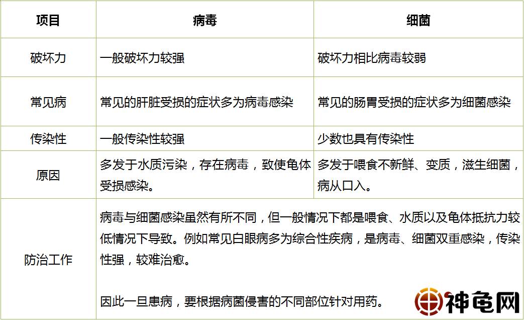 细菌感染和病毒感染区别(结膜炎细菌感染和病毒感染区别)
