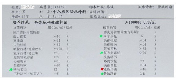 尿常规细菌高怎么回事-(尿常规细菌高怎么回事女性)