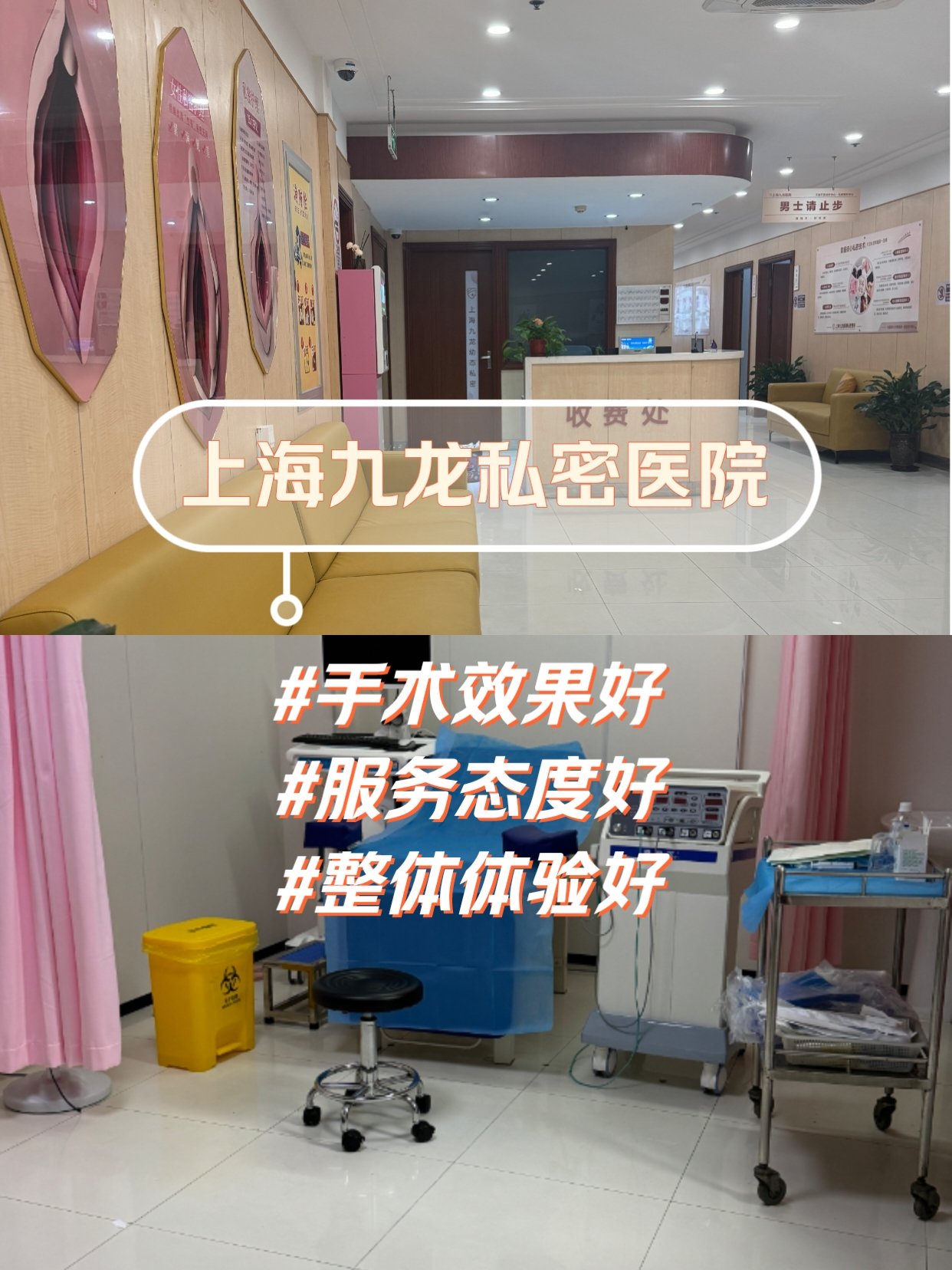 上海九龙医院(上海九龙医院精神科)
