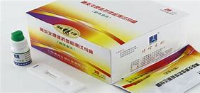 博迈达(博迈达同型)