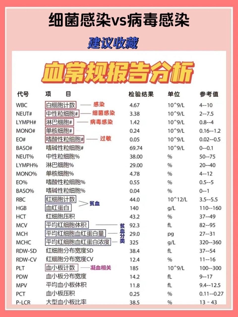 细菌与病毒的主要区别(细菌与病毒的主要区别在于细菌有细胞壁)