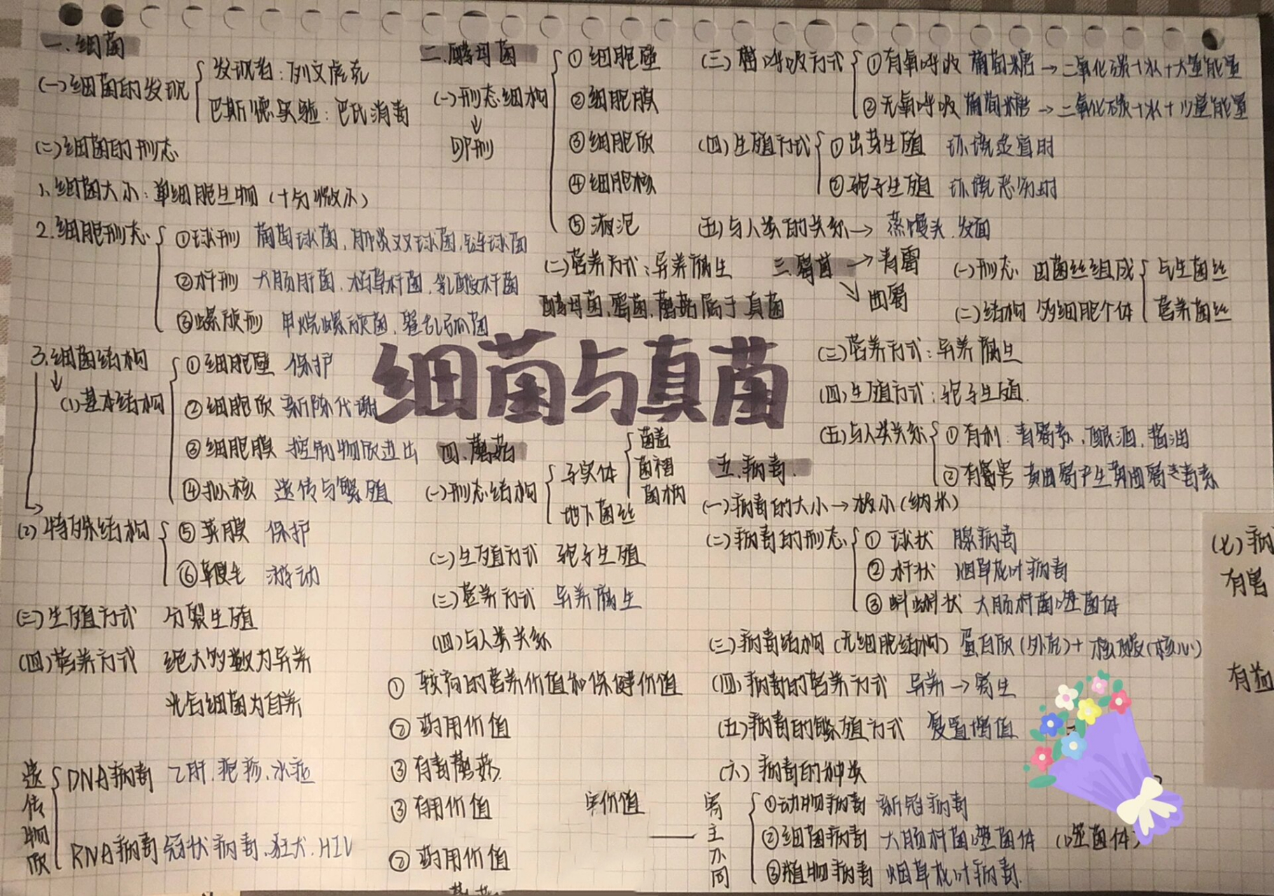 细菌和真菌_(细菌和真菌培养的一般方法)