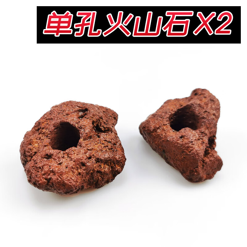 造氧-(造氧气植物排行)