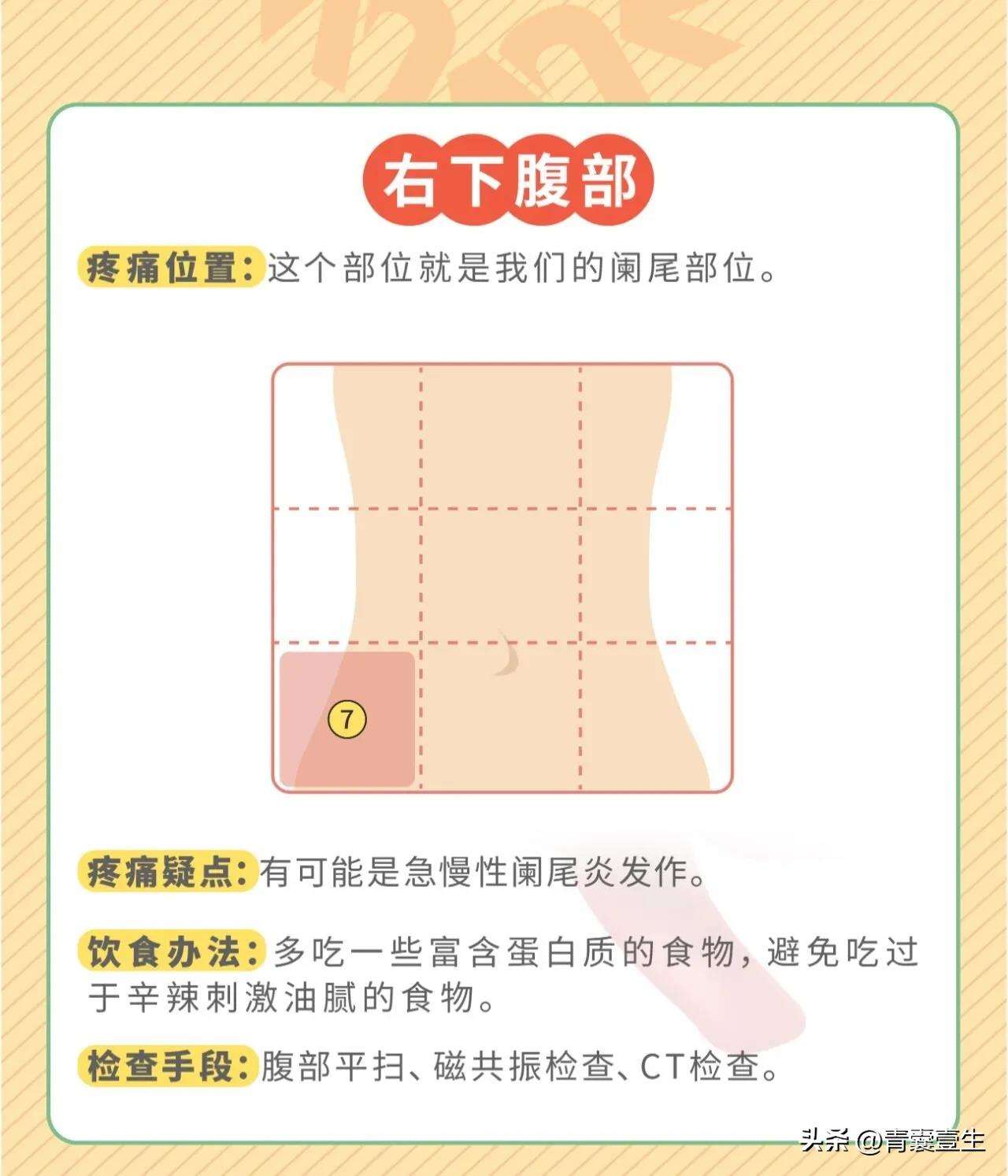 腹部查体顺序_(护理腹部查体视频教程)