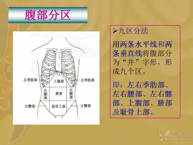 腹部查体顺序_(护理腹部查体视频教程)