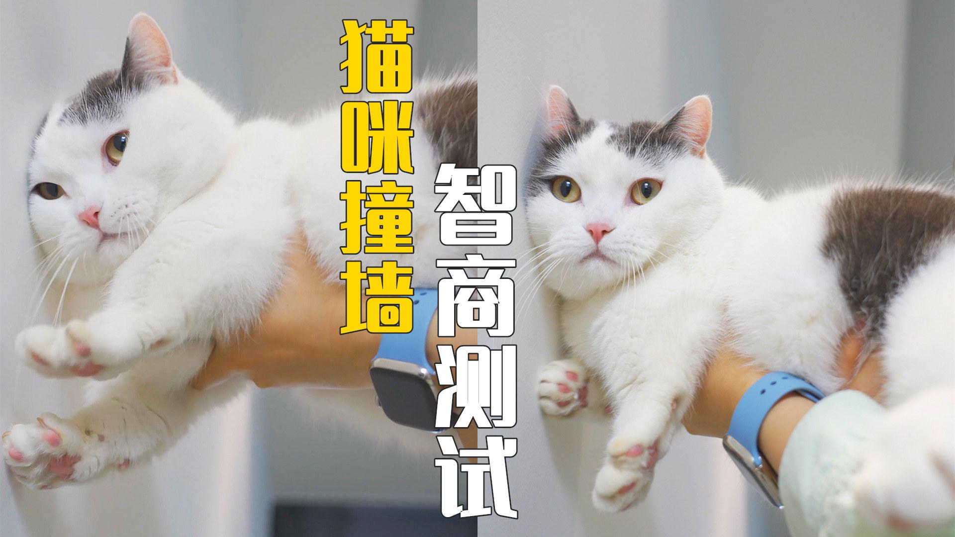 不聪明_(不聪明怎么办)