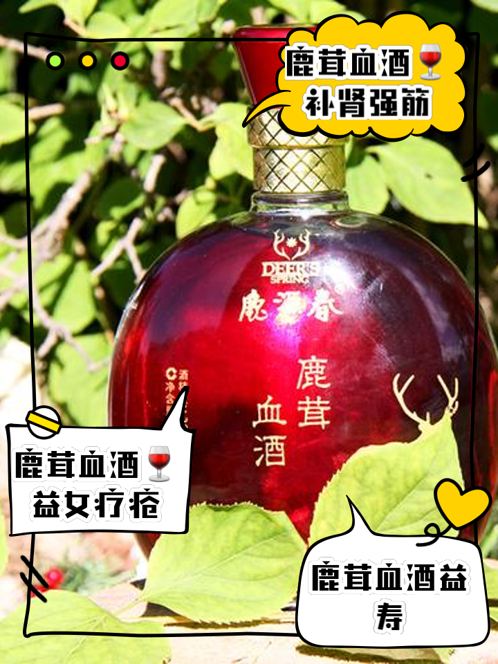 鹿茸血酒的功效(鹿茸血酒的功效与主治)