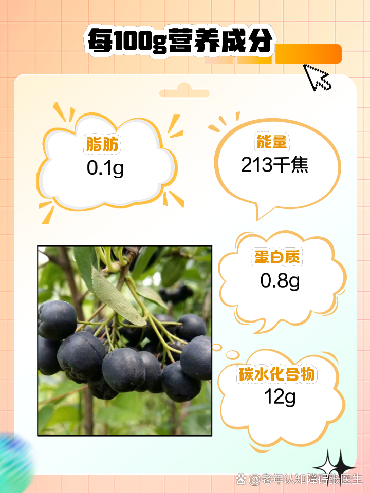 黑果花楸的功效(黑果花楸的功效和吃法吃多少)