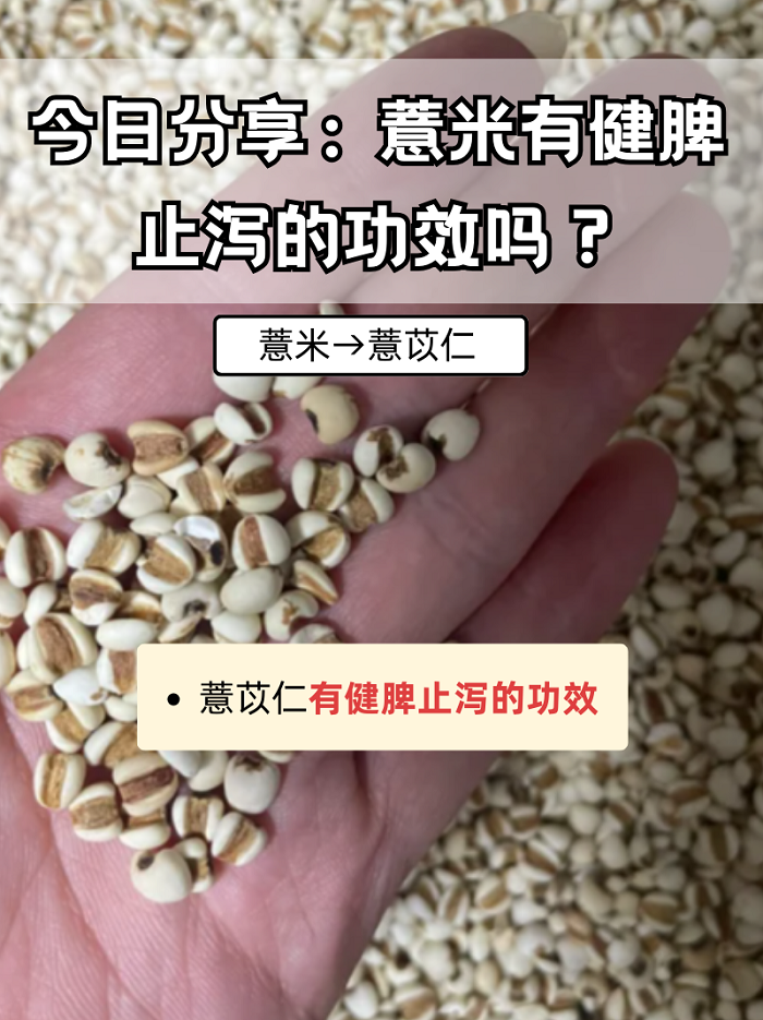 孕妇能吃薏米粥吗_(孕妇能吃红豆薏米粥吗)