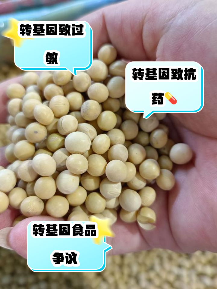 转基因食品有哪些(中国转基因食品一览表)