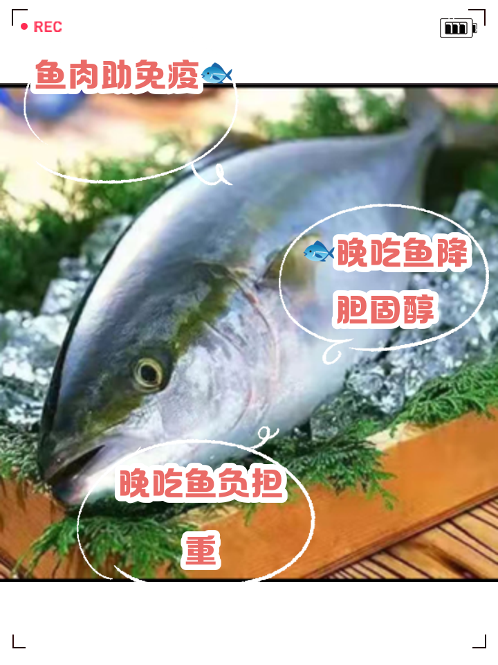 吃消炎药能吃鱼吗_(吃消炎药需要忌口什么食物)