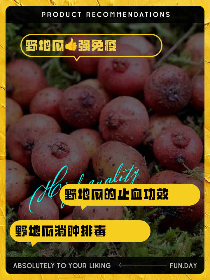 野地瓜(白地瓜的功效与作用及禁忌)