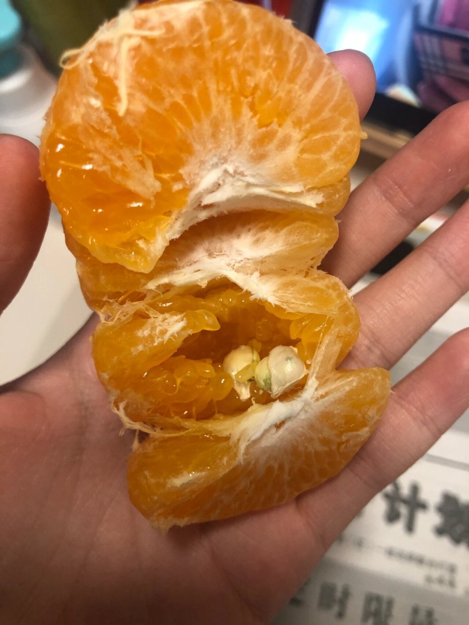橘子籽-(第二次失忆by橘子籽)