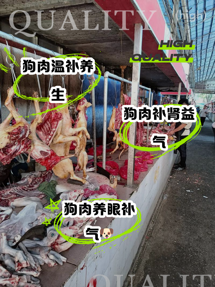 狗肉能吃吗_(狗肉能吃吗,有什么功效)