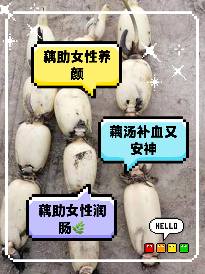 怀孕可以吃莲藕吗_(怀孕吃莲藕吗有影响吗)