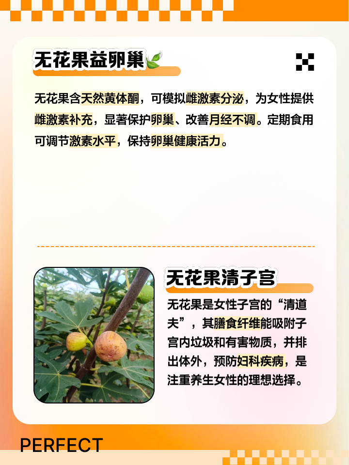 无花果有什么好处(女人经常吃无花果有什么好处)