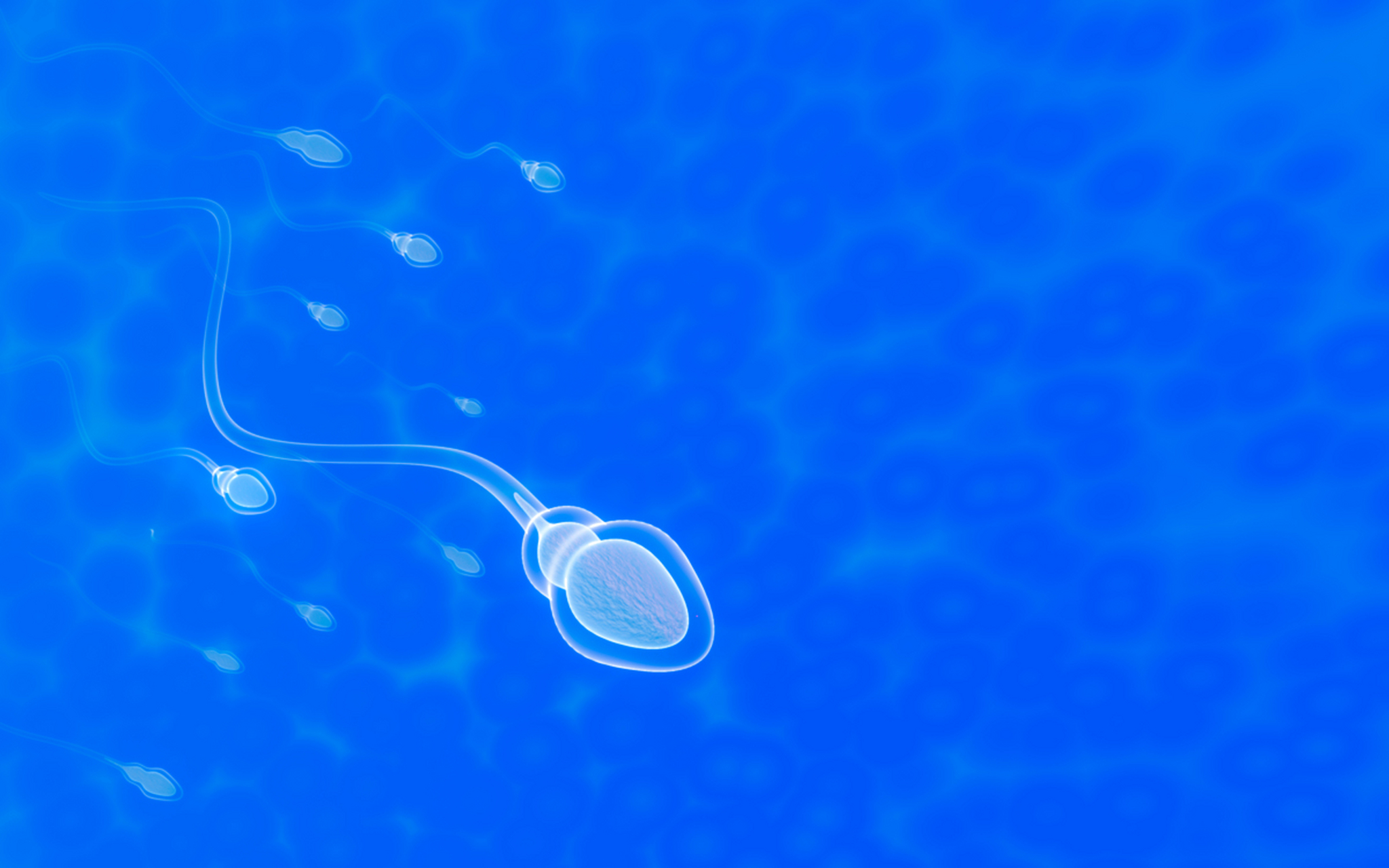精子透明(精是透明色怎么改善)