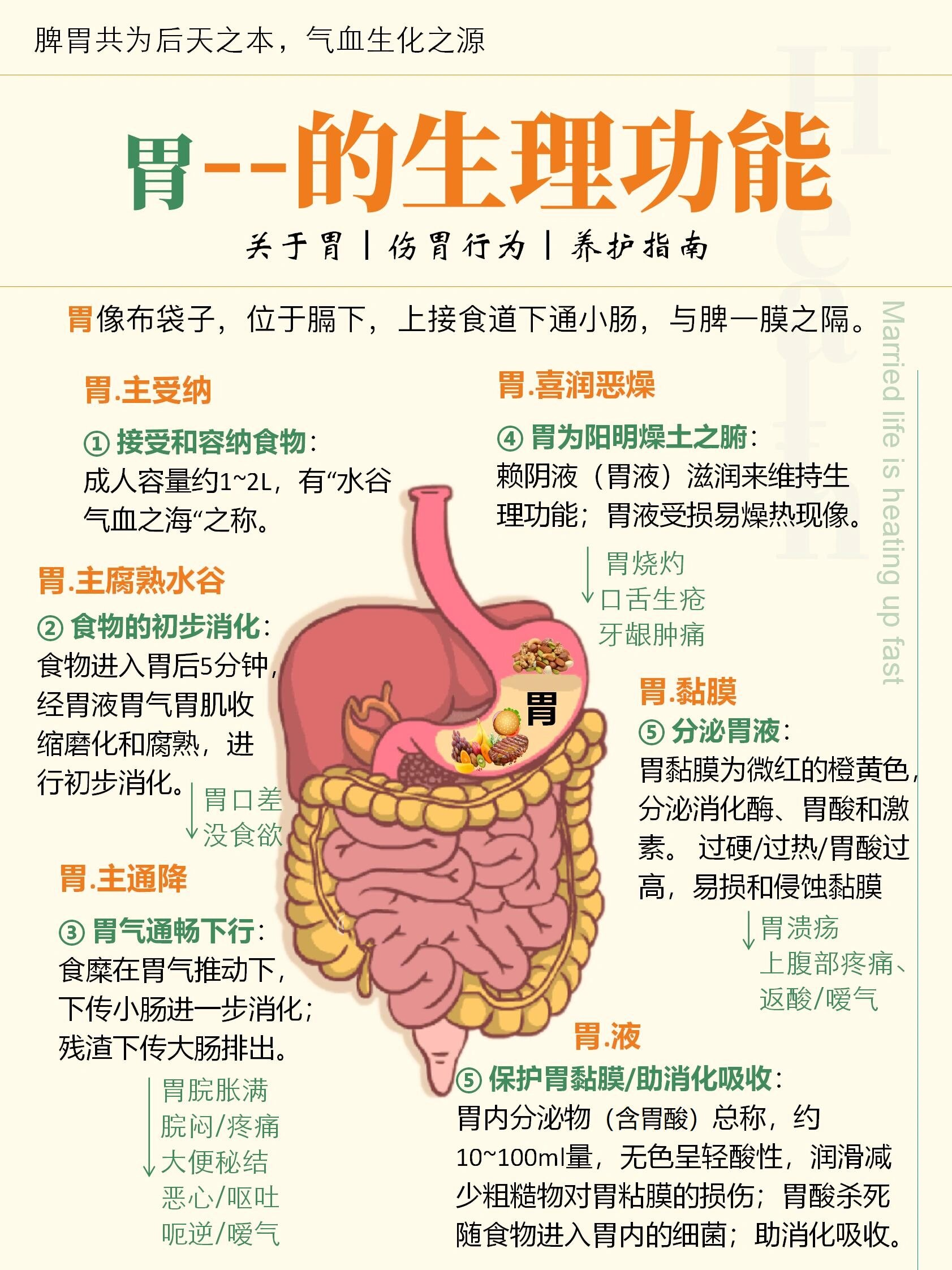 健胃片功效与作用_(健胃片功效与作用说明书)
