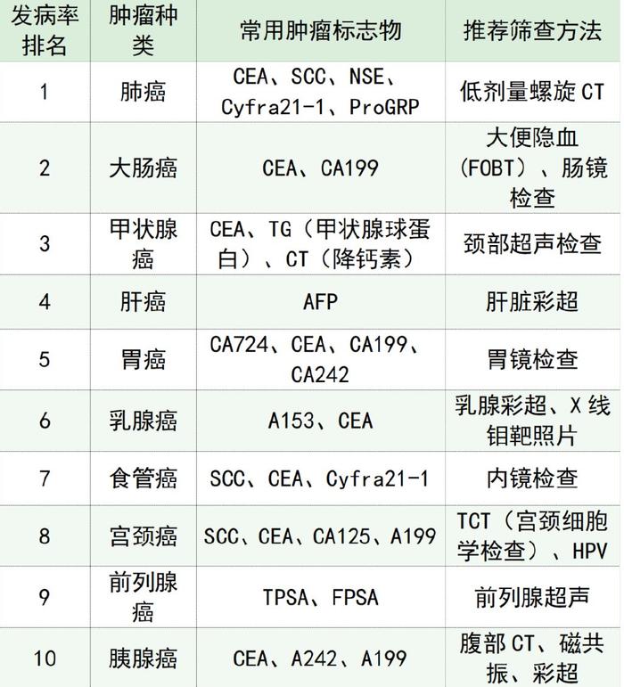 nse是什么意思_(license是什么意思)
