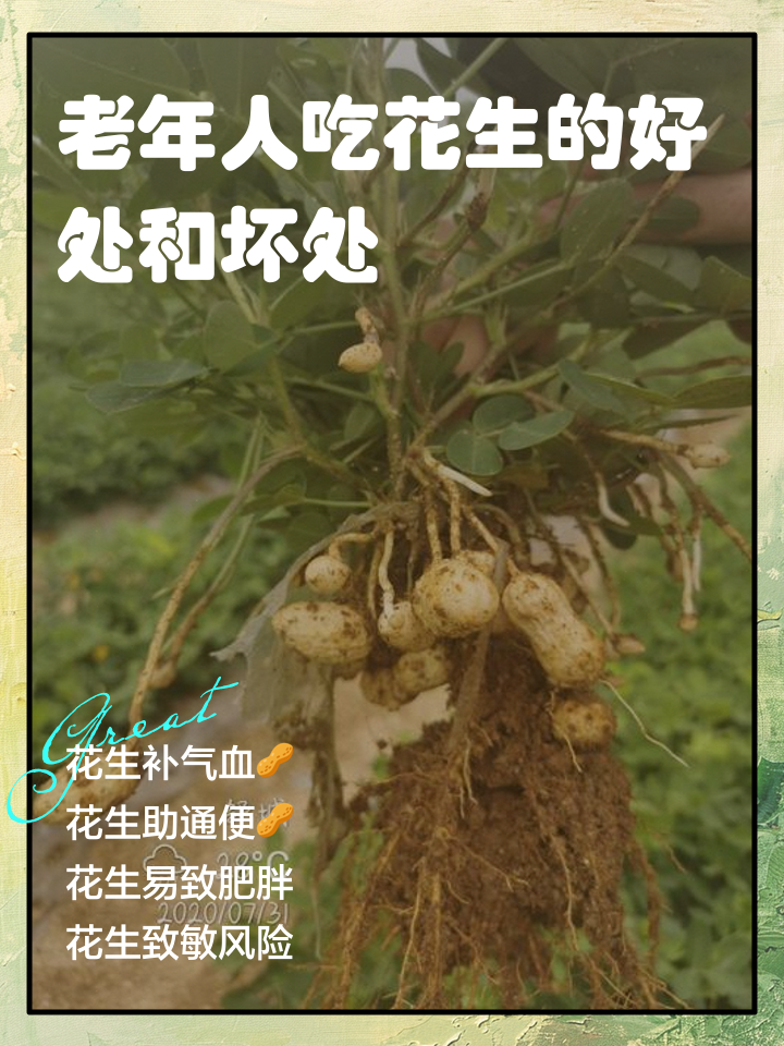花生什么人不能吃(生花生可以吃吗有什么好处)
