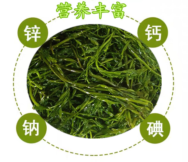 盐藻哪些人不能吃(盐藻吃了有用吗提高免疫力吗)