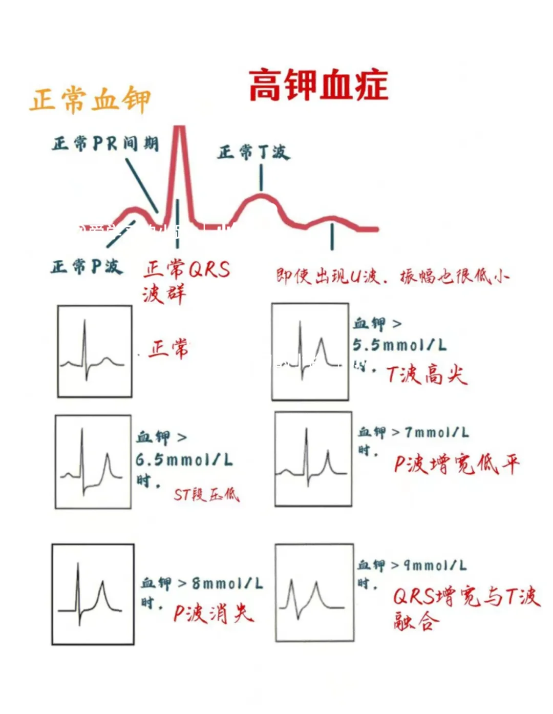 血钾正常值是多少_(新生儿血钾正常值是多少)