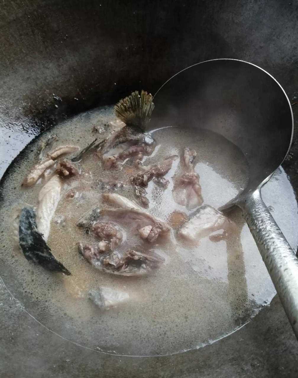 白鸽粥_(白鸽粥怎么煮才好吃)