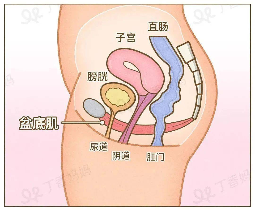 老师的阴道的简单介绍