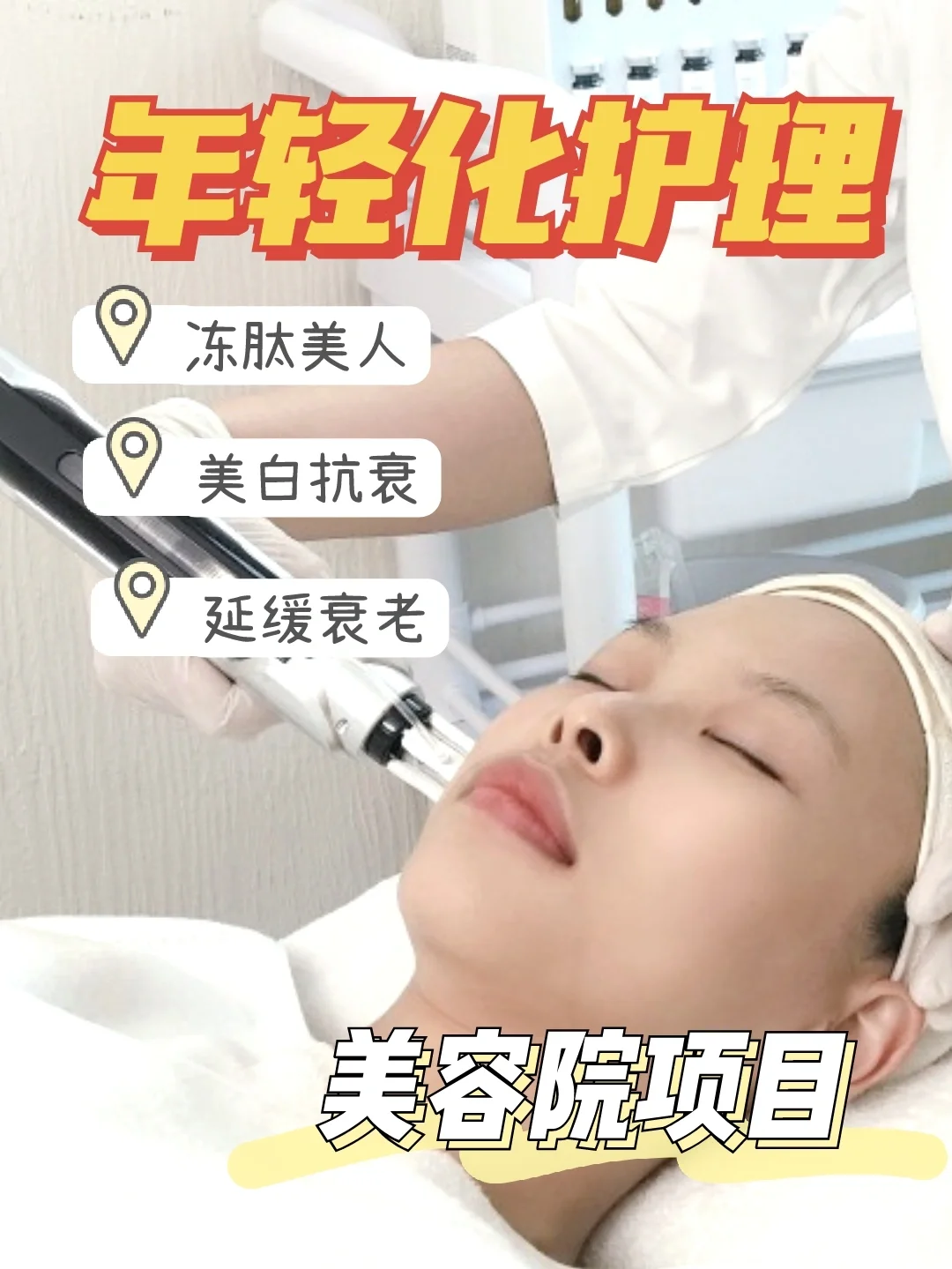 术能(术能卡能枢能)