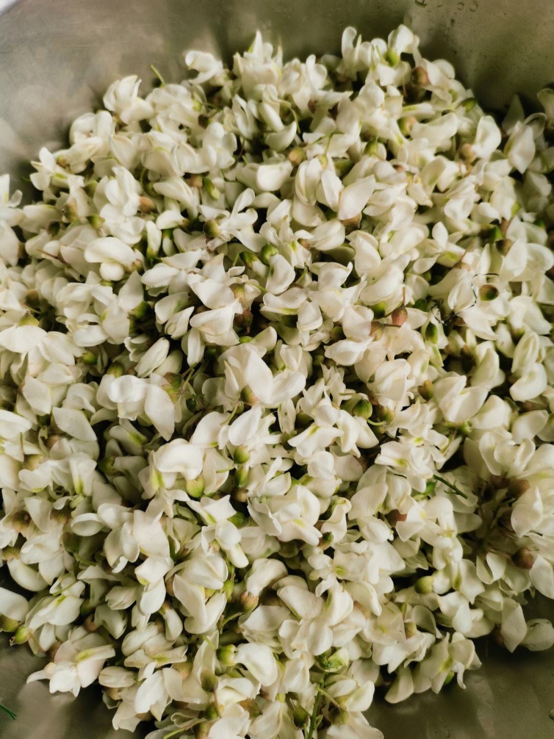 洋槐花怎么做好吃(冷冻的洋槐花怎么做好吃)