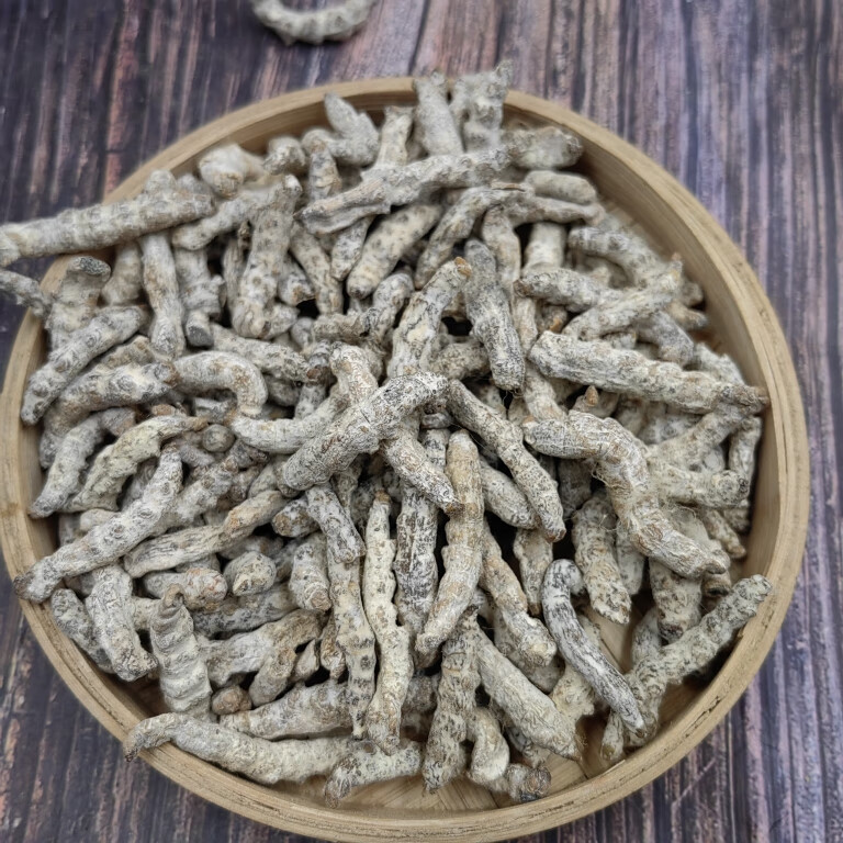 姜虫_(姜虫中药别名叫什么)