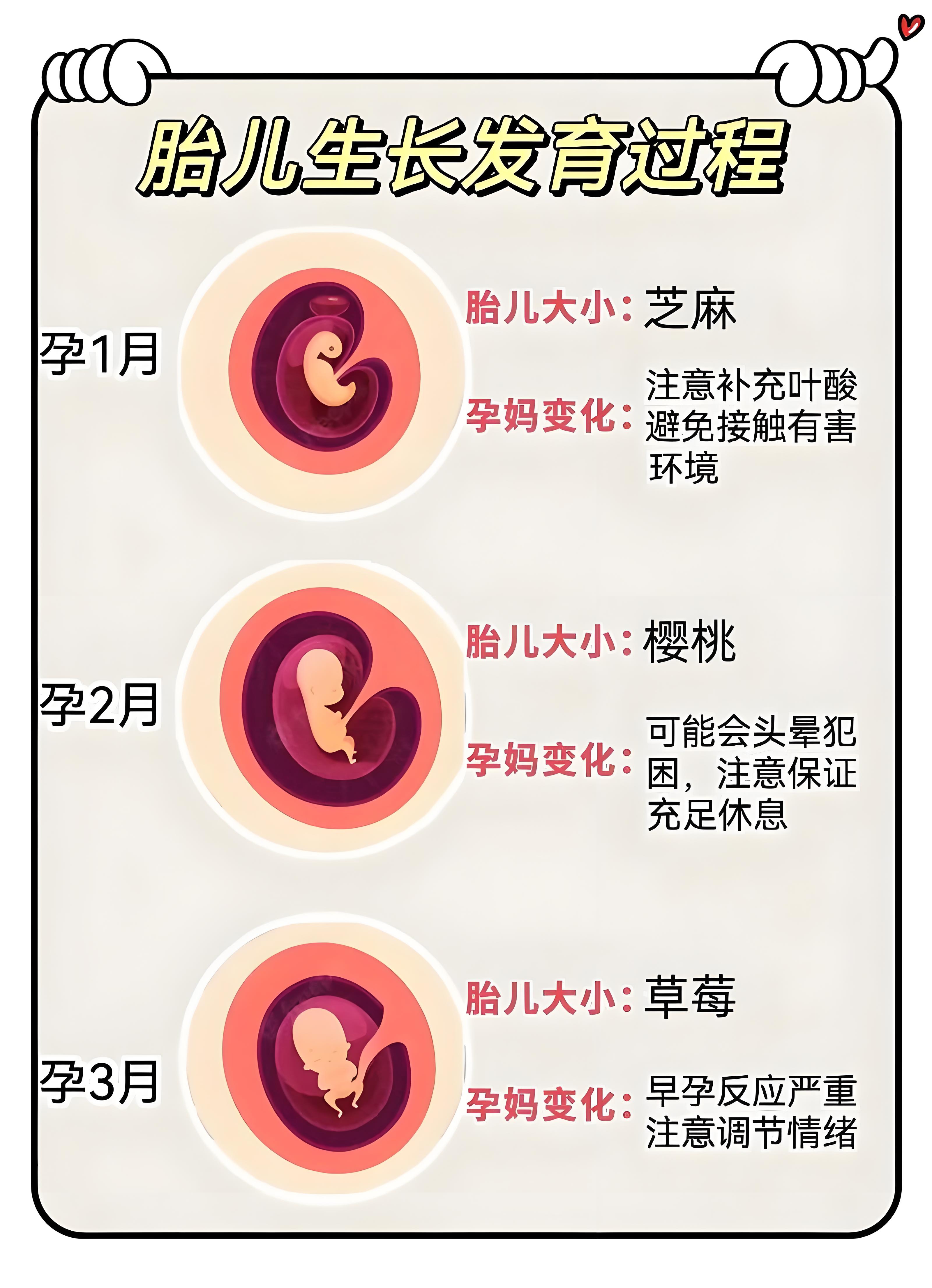 女生多大可以怀孕_(10岁女孩会怀孕吗)