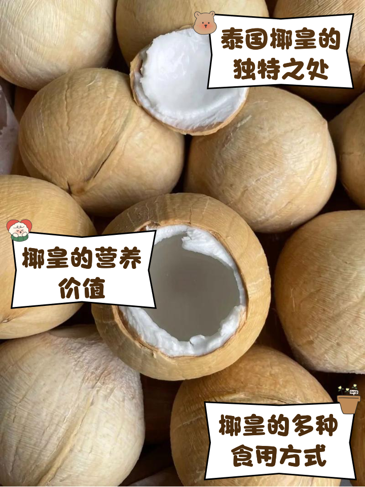 椰皇-(椰皇和椰青的区别)